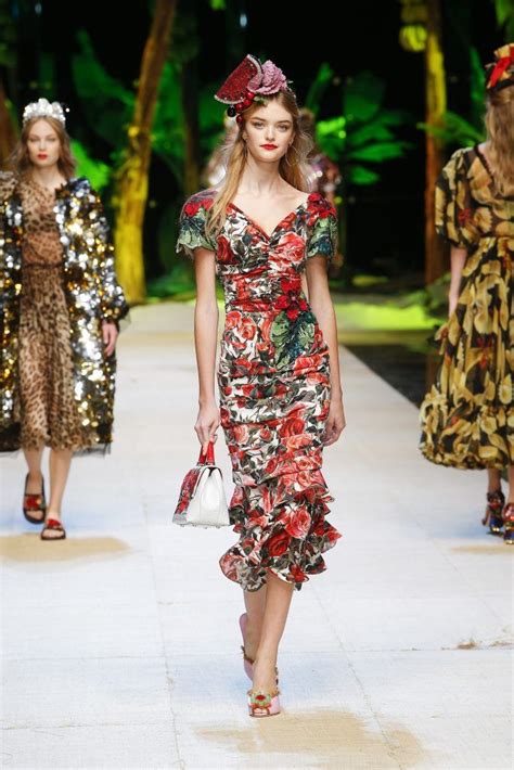 coleccion dolce and gabbana